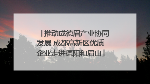推动成德眉产业协同发展 成都高新区优质企业走进德阳和眉山