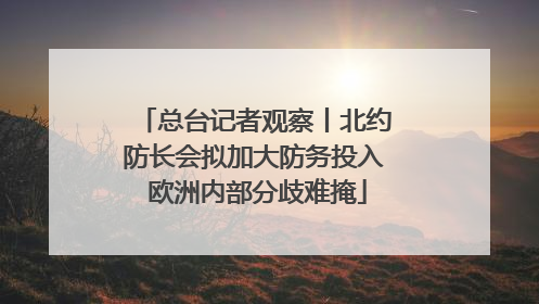 总台记者观察丨北约防长会拟加大防务投入 欧洲内部分歧难掩