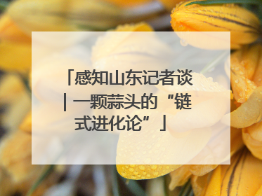 感知山东记者谈｜一颗蒜头的“链式进化论”