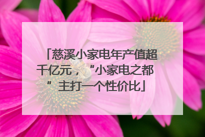 慈溪小家电年产值超千亿元，“小家电之都”主打一个性价比