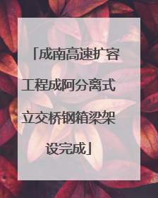 成南高速扩容工程成阿分离式立交桥钢箱梁架设完成