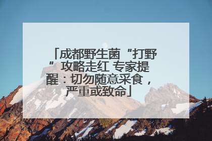 成都野生菌“打野”攻略走红 专家提醒：切勿随意采食，严重或致命