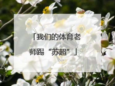 我们的体育老师踢“苏超”