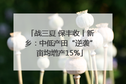 战三夏 保丰收丨新乡：中低产田“逆袭” 亩均增产15%