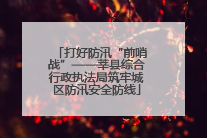 打好防汛“前哨战”——莘县综合行政执法局筑牢城区防汛安全防线