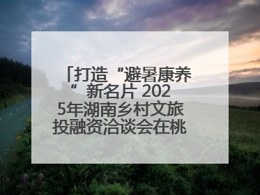 打造“避暑康养”新名片 2025年湖南乡村文旅投融资洽谈会在桃江举办