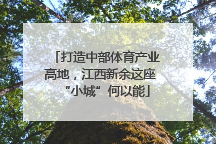 打造中部体育产业高地，江西新余这座“小城”何以能