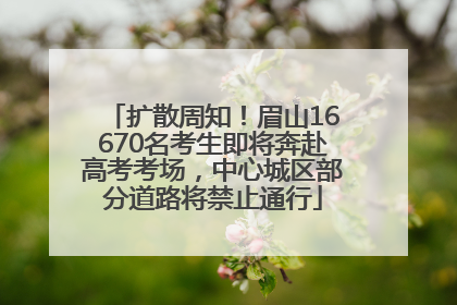 扩散周知！眉山16670名考生即将奔赴高考考场，中心城区部分道路将禁止通行