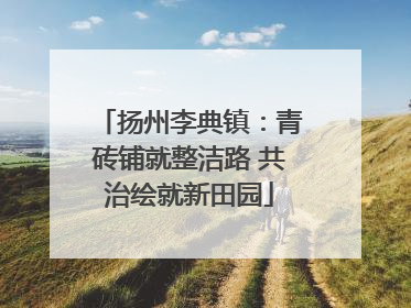 扬州李典镇：青砖铺就整洁路 共治绘就新田园
