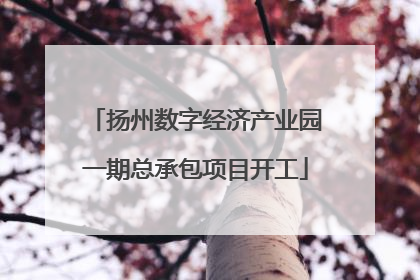 扬州数字经济产业园一期总承包项目开工