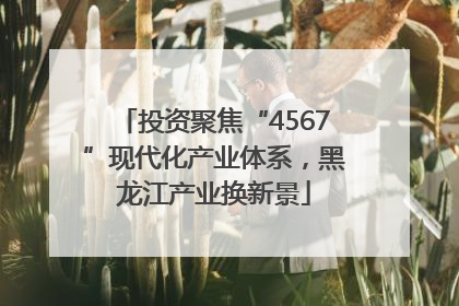 投资聚焦“4567”现代化产业体系，黑龙江产业换新景