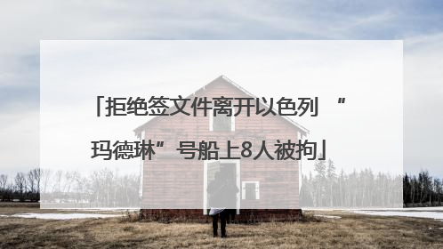 拒绝签文件离开以色列 “玛德琳”号船上8人被拘