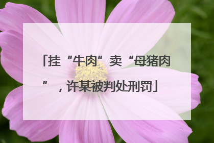 挂“牛肉”卖“母猪肉”，许某被判处刑罚