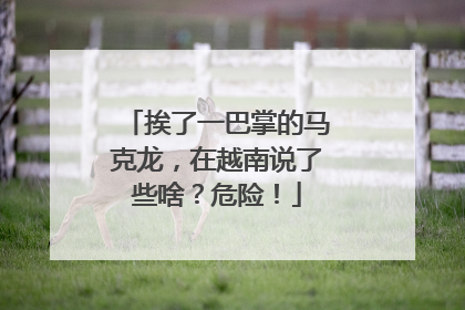 挨了一巴掌的马克龙，在越南说了些啥？危险！