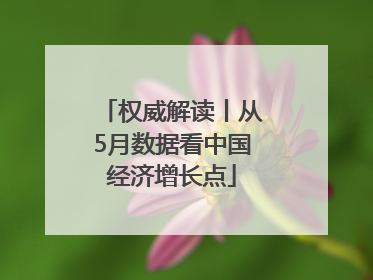 权威解读丨从5月数据看中国经济增长点