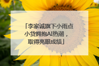 李家诚旗下小雨点小贷拥抱AI热潮，取得亮眼成绩