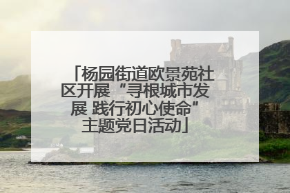 杨园街道欧景苑社区开展“寻根城市发展 践行初心使命”主题党日活动