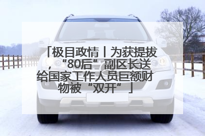 极目政情丨为获提拔，“80后”副区长送给国家工作人员巨额财物被“双开”