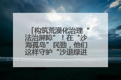 构筑荒漠化治理“法治屏障”！在“沙海孤岛”民勤，他们这样守护“沙退绿进”的生态奇迹