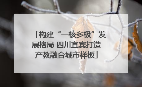 构建“一核多极”发展格局 四川宜宾打造产教融合城市样板