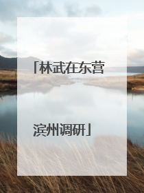 林武在东营滨州调研