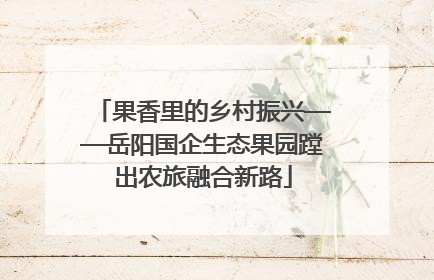 果香里的乡村振兴——岳阳国企生态果园蹚出农旅融合新路