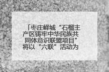 枣庄峄城“石榴主产区铸牢中华民族共同体意识联盟项目”将以“六联”活动为抓手深化品牌建设