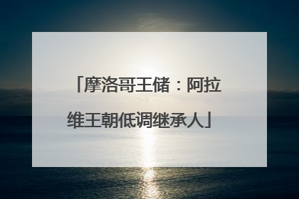 摩洛哥王储：阿拉维王朝低调继承人