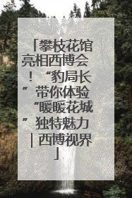 攀枝花馆亮相西博会！“豹局长”带你体验“暖暖花城”独特魅力｜西博视界