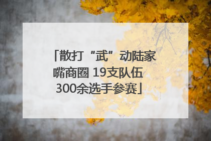 散打“武”动陆家嘴商圈 19支队伍300余选手参赛