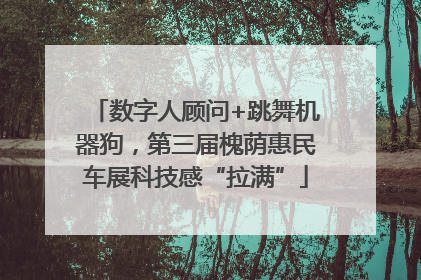 数字人顾问+跳舞机器狗，第三届槐荫惠民车展科技感“拉满”