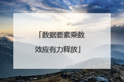数据要素乘数效应有力释放