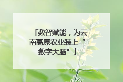 数智赋能，为云南高原农业装上“数字大脑”