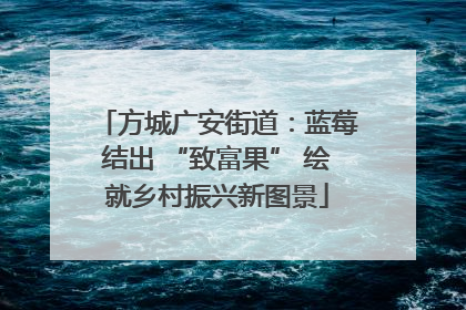 方城广安街道：蓝莓结出 “致富果” 绘就乡村振兴新图景