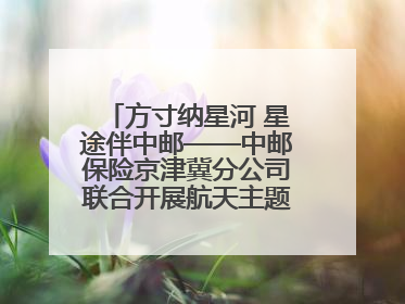 方寸纳星河 星途伴中邮——中邮保险京津冀分公司联合开展航天主题研学活动