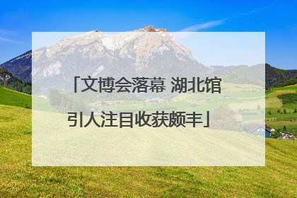 文博会落幕 湖北馆引人注目收获颇丰