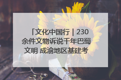 文化中国行｜230余件文物诉说千年巴蜀文明 成渝地区基建考古成果展开展