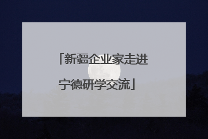 新疆企业家走进宁德研学交流