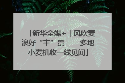 新华全媒+｜风吹麦浪好“丰”景——多地小麦机收一线见闻