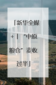 新华全媒+丨“中原粮仓”麦收过半