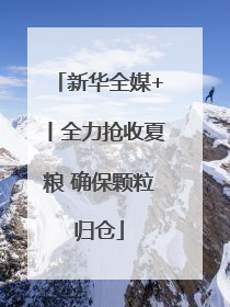 新华全媒+丨全力抢收夏粮 确保颗粒归仓