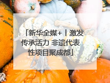 新华全媒+丨激发传承活力 非遗代表性项目聚成都