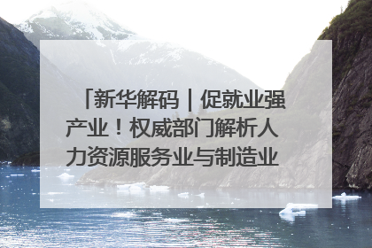 新华解码｜促就业强产业！权威部门解析人力资源服务业与制造业融合发展试点