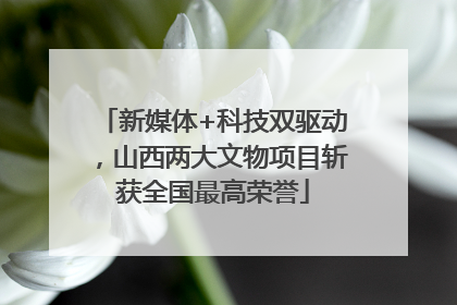 新媒体+科技双驱动，山西两大文物项目斩获全国最高荣誉