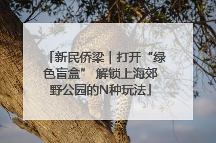新民侨梁｜打开“绿色盲盒” 解锁上海郊野公园的N种玩法