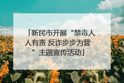 新民市开展“禁毒人人有责 反诈步步为营”主题宣传活动