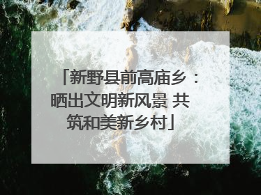 新野县前高庙乡：晒出文明新风景 共筑和美新乡村