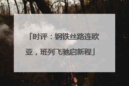 时评：钢铁丝路连欧亚，班列飞驰启新程