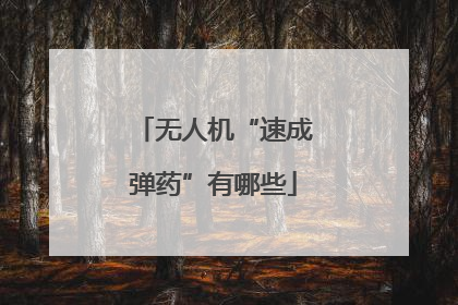 无人机“速成弹药”有哪些