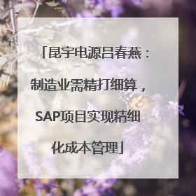 昆宇电源吕春燕：制造业需精打细算，SAP项目实现精细化成本管理
